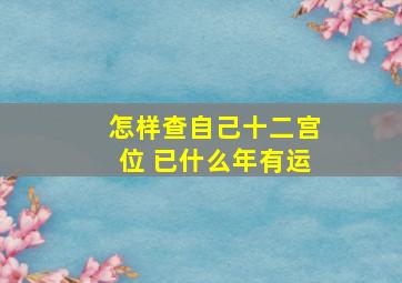 怎样查自己十二宫位 已什么年有运